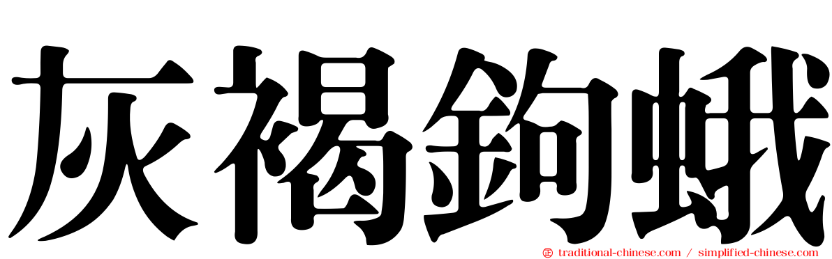 灰褐鉤蛾