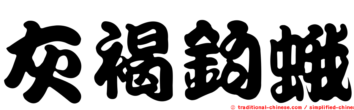 灰褐鉤蛾