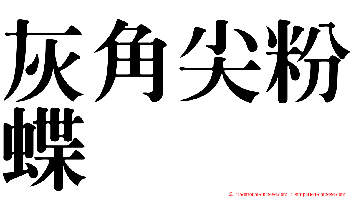 灰角尖粉蝶