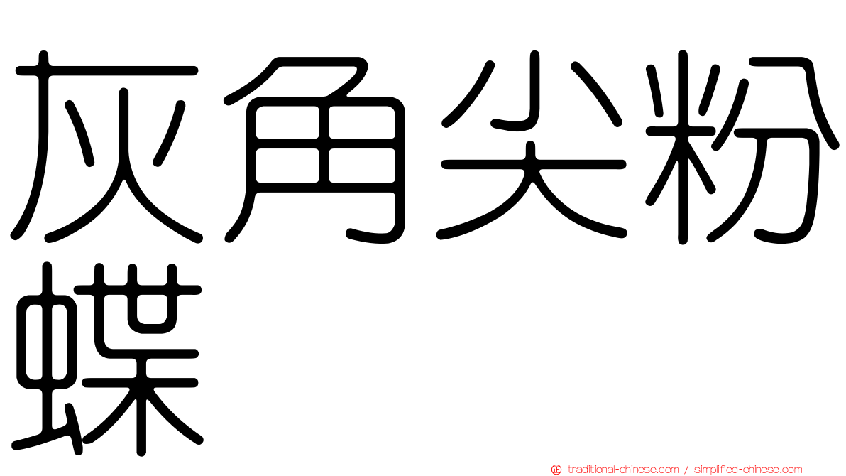 灰角尖粉蝶