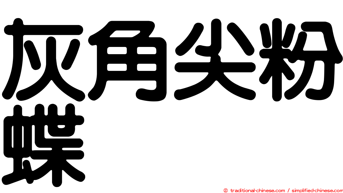 灰角尖粉蝶