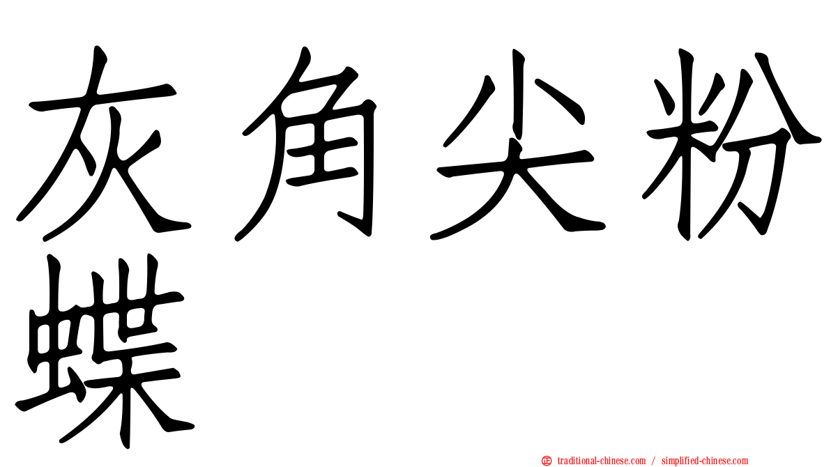 灰角尖粉蝶