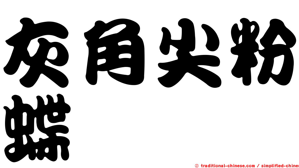 灰角尖粉蝶