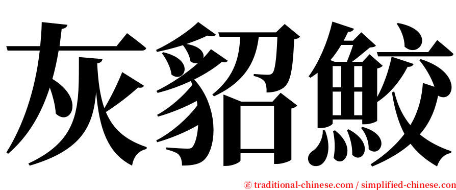 灰貂鮫 serif font