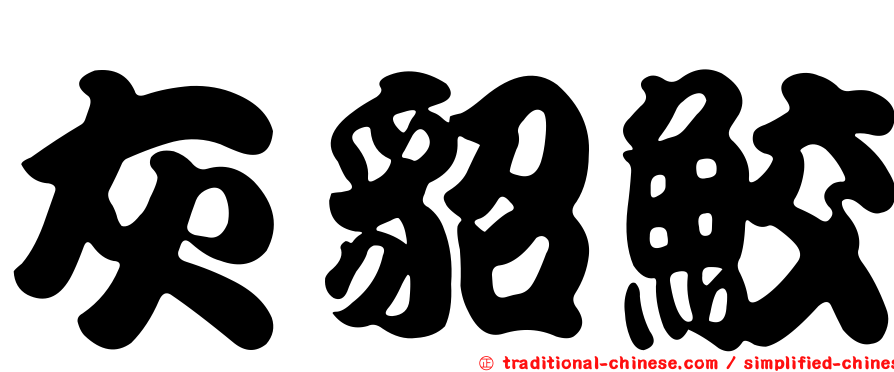 灰貂鮫