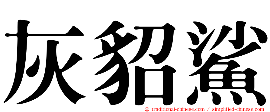 灰貂鯊