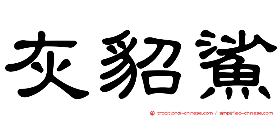 灰貂鯊