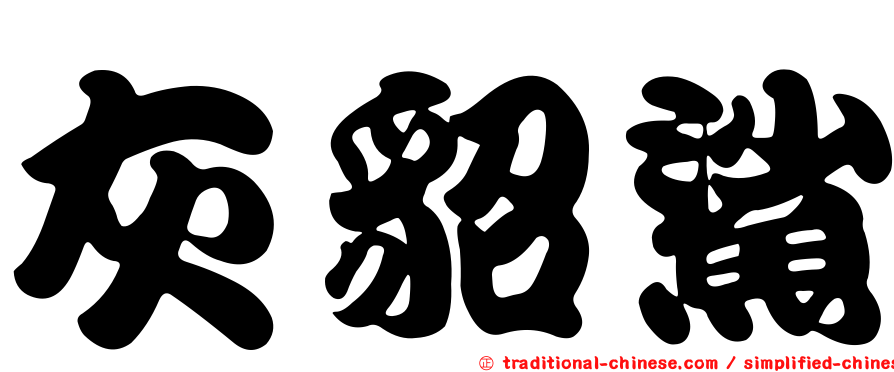 灰貂鯊