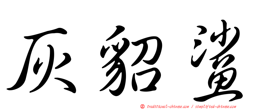 灰貂鯊