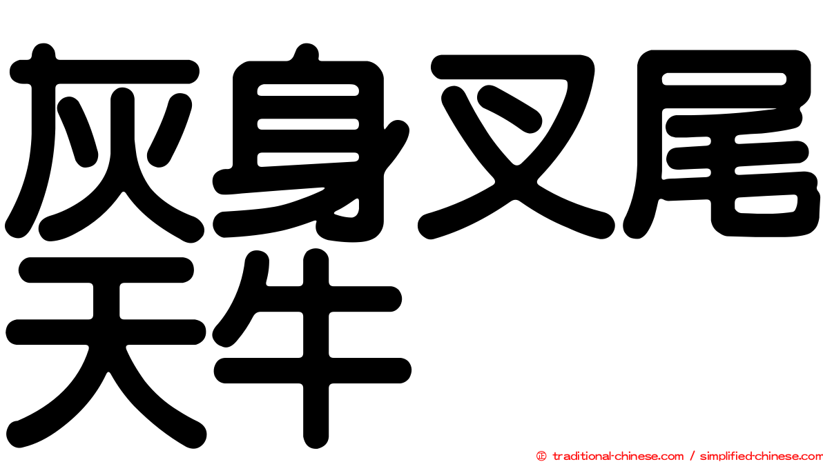 灰身叉尾天牛
