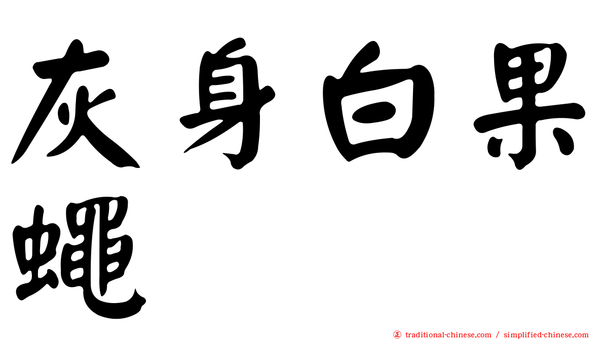 灰身白果蠅