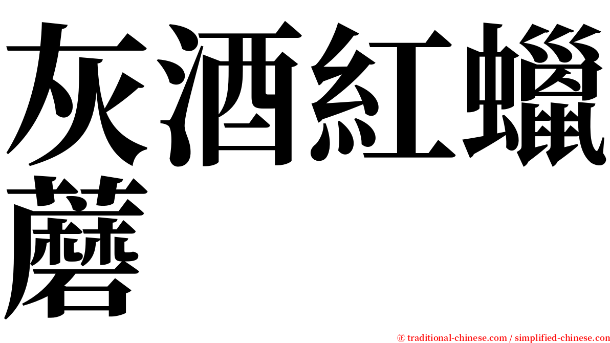 灰酒紅蠟蘑 serif font