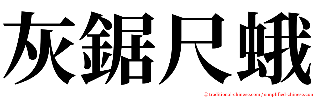 灰鋸尺蛾 serif font