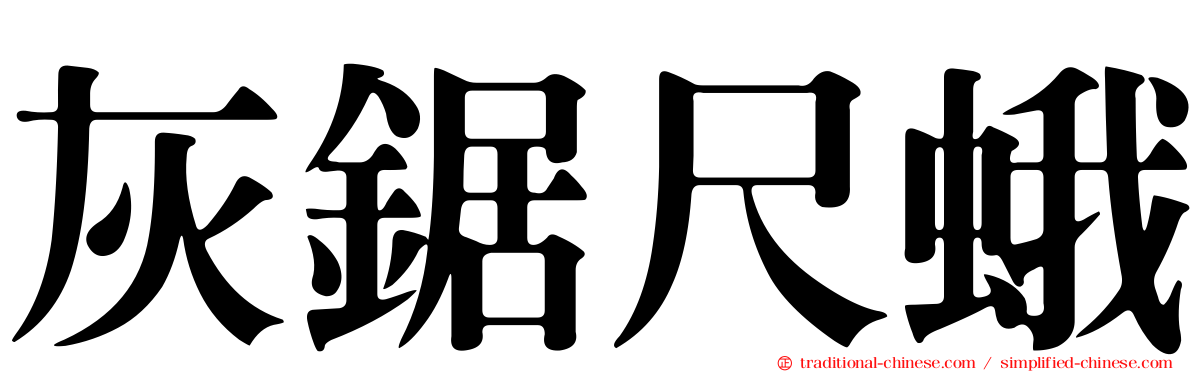 灰鋸尺蛾