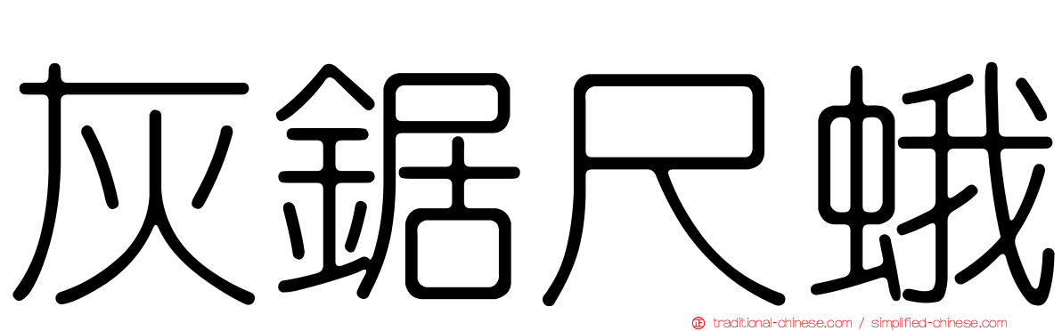 灰鋸尺蛾