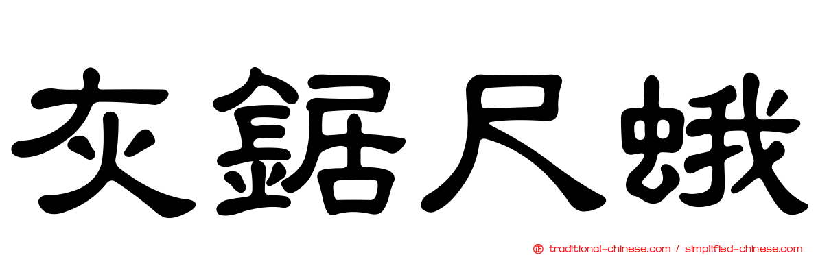 灰鋸尺蛾