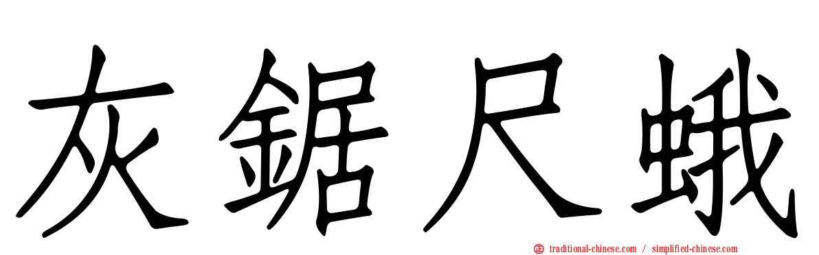 灰鋸尺蛾