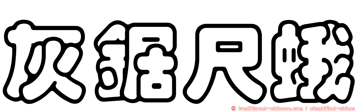 灰鋸尺蛾