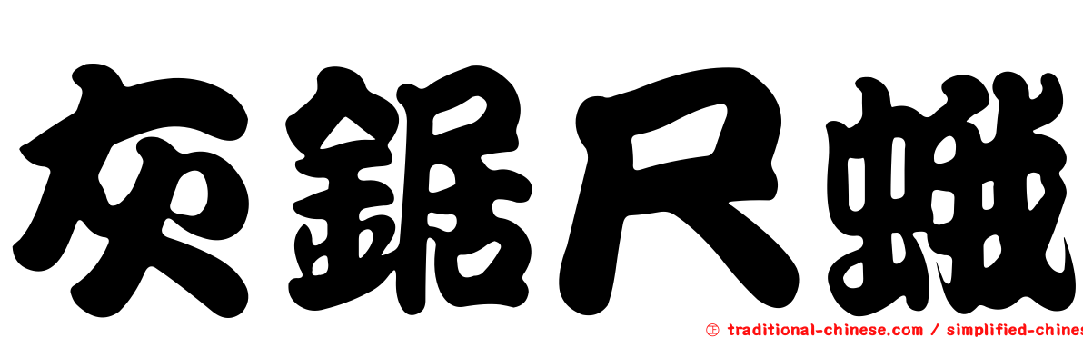 灰鋸尺蛾