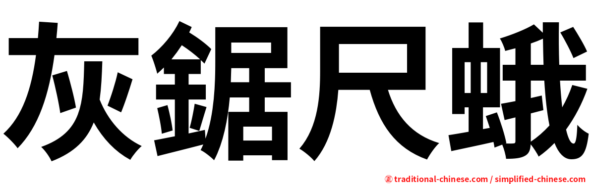 灰鋸尺蛾