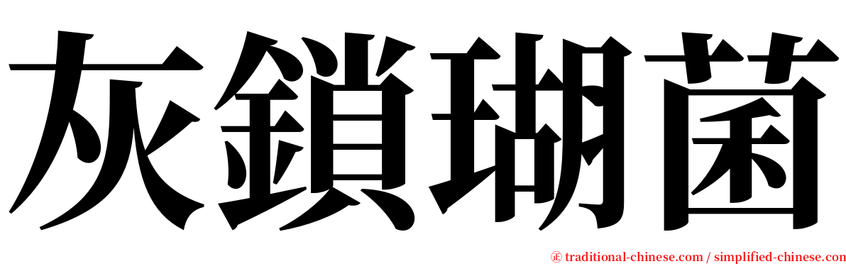 灰鎖瑚菌 serif font