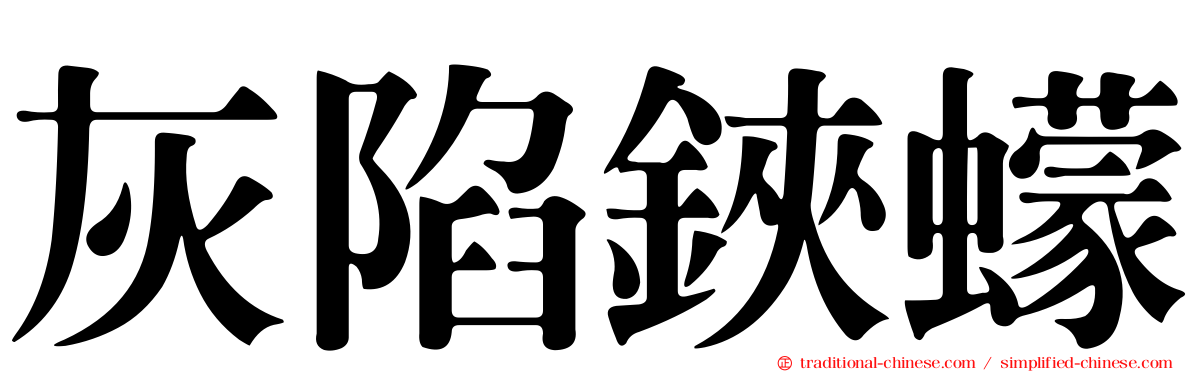 灰陷鋏蠓