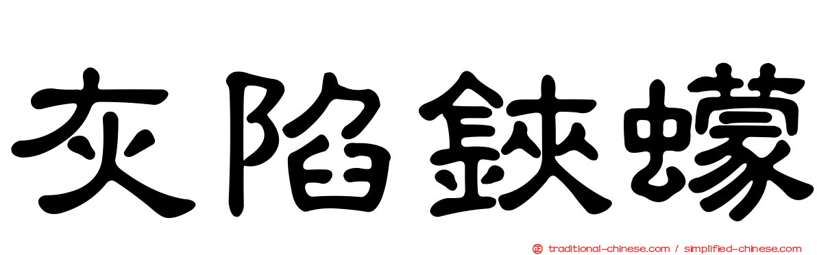 灰陷鋏蠓