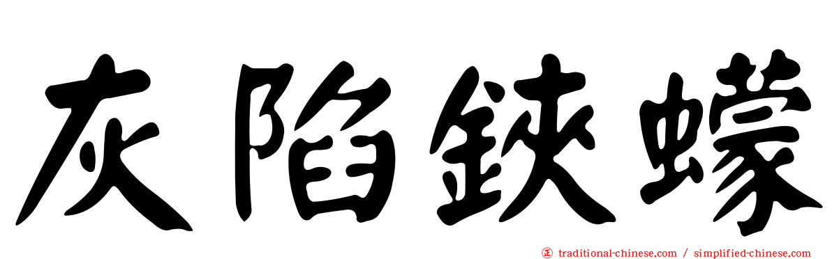 灰陷鋏蠓