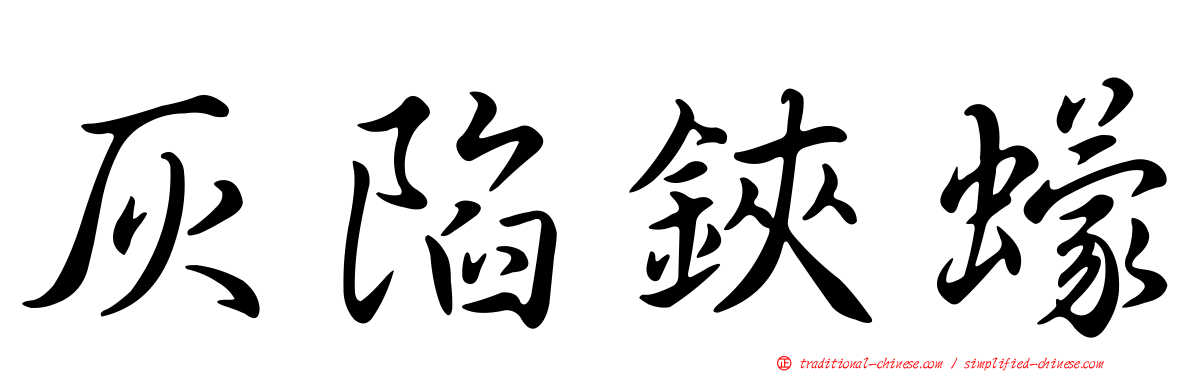 灰陷鋏蠓