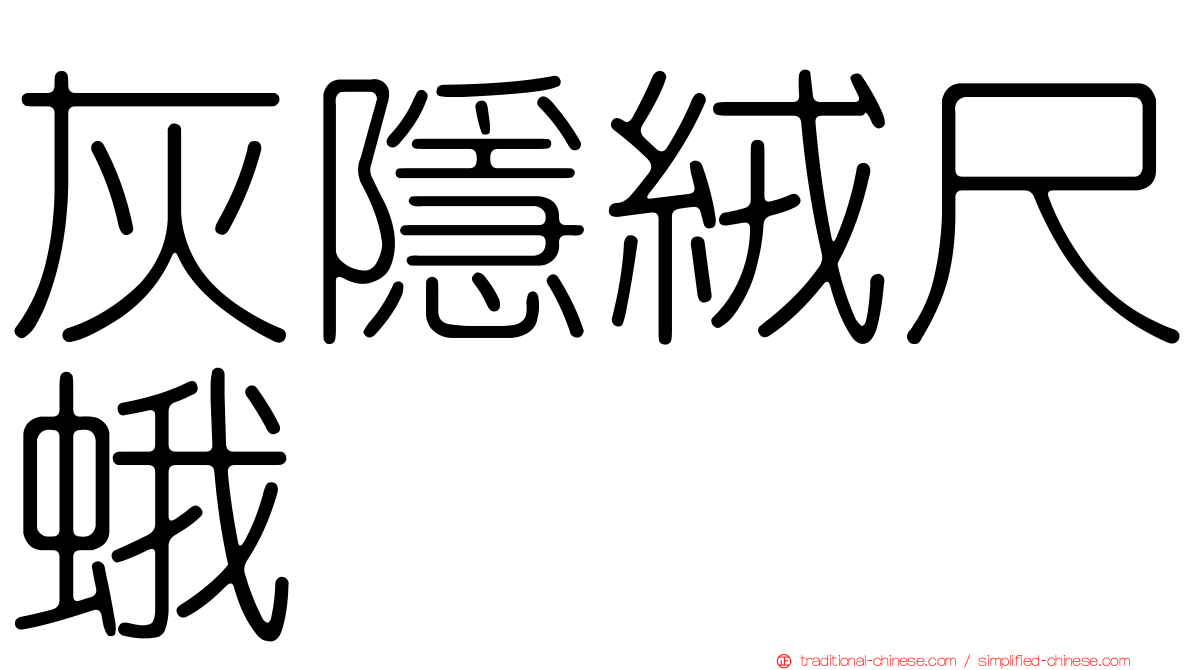 灰隱絨尺蛾