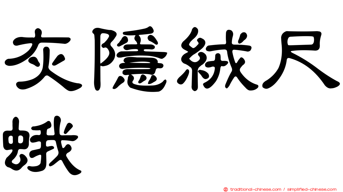 灰隱絨尺蛾