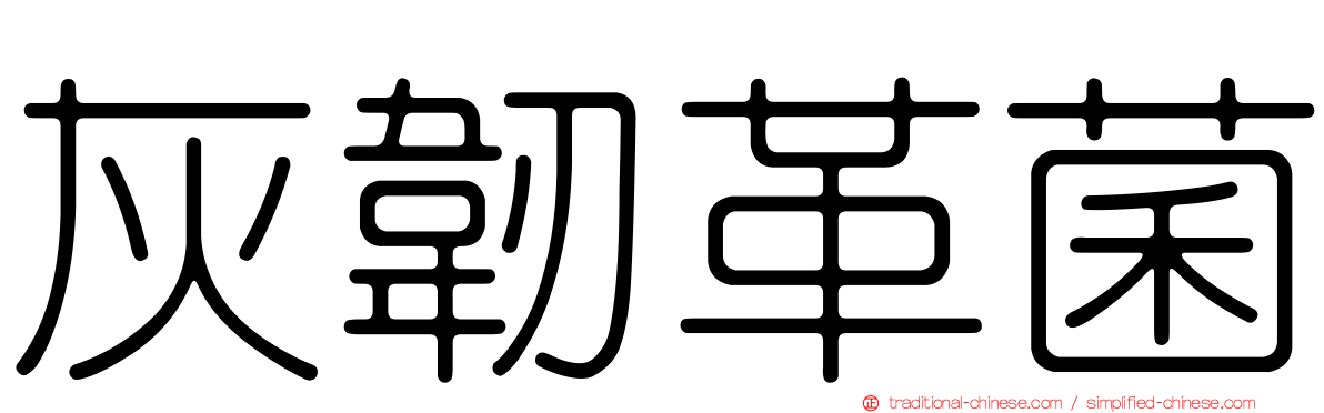 灰韌革菌