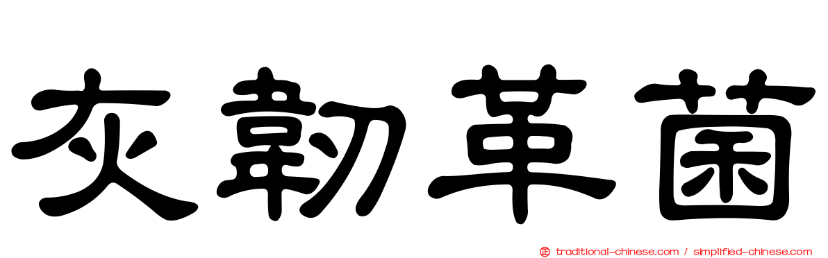 灰韌革菌