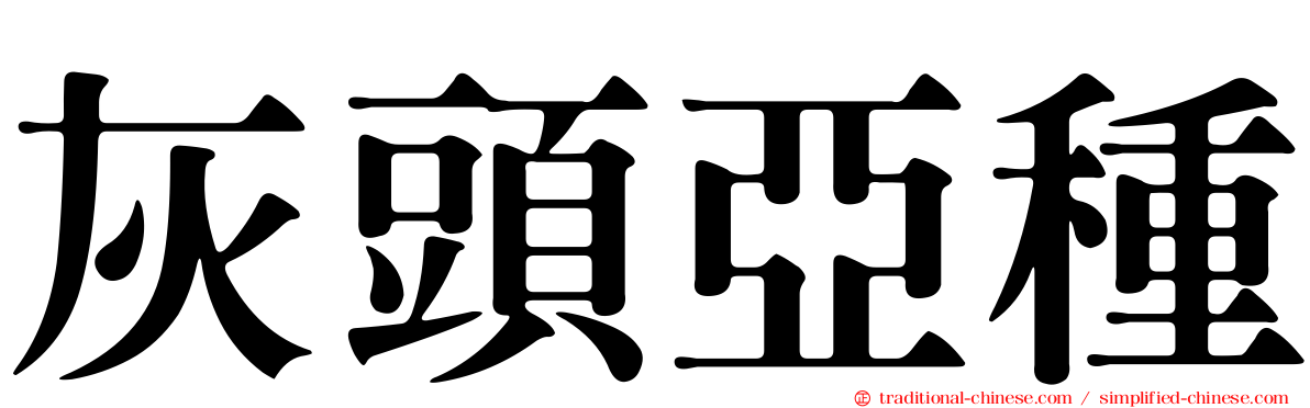 灰頭亞種