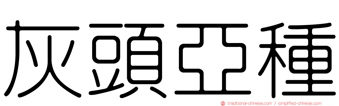 灰頭亞種