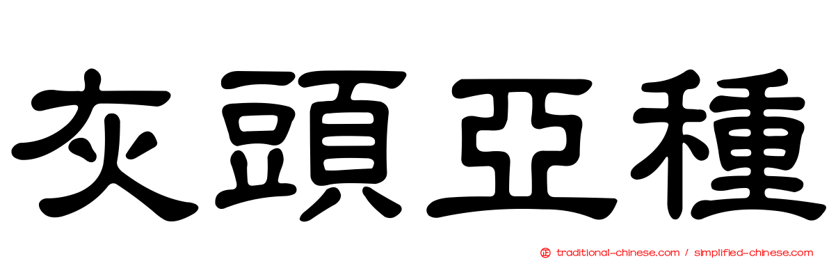 灰頭亞種