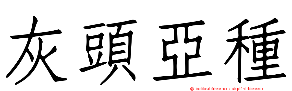 灰頭亞種