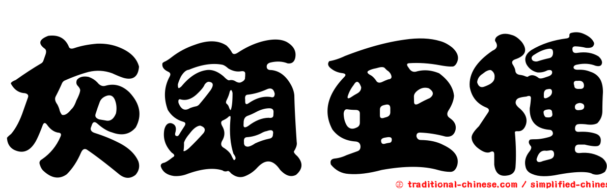 灰頭亞種