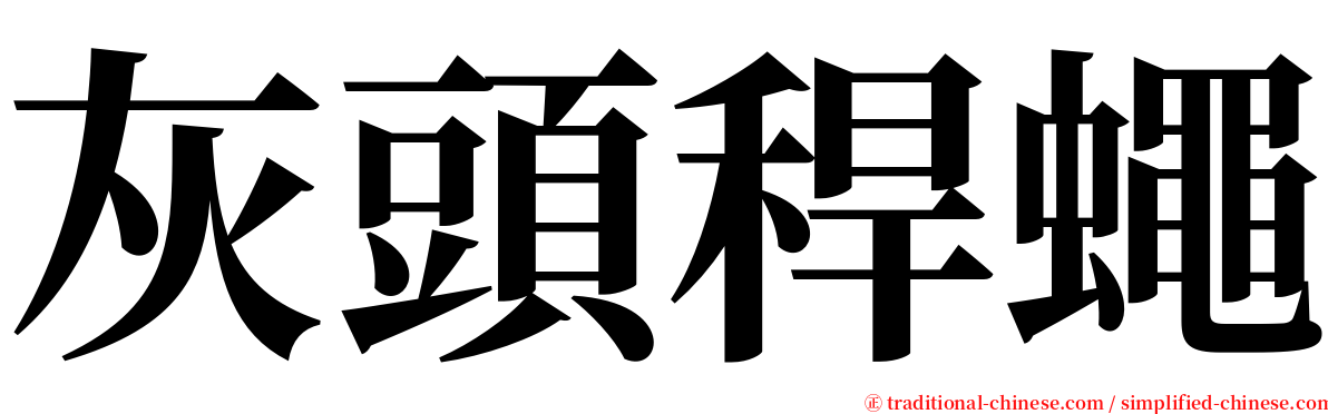 灰頭稈蠅 serif font