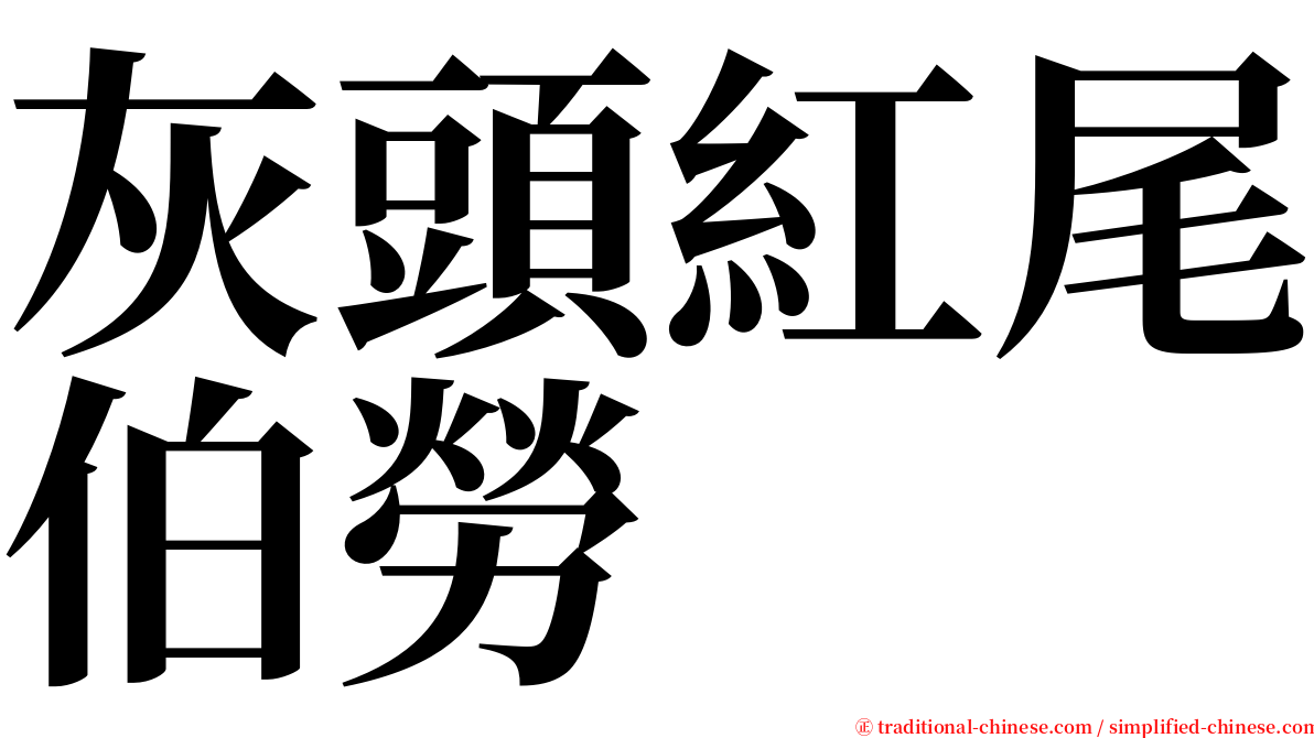 灰頭紅尾伯勞 serif font