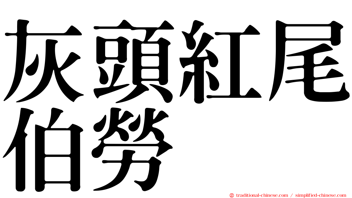 灰頭紅尾伯勞