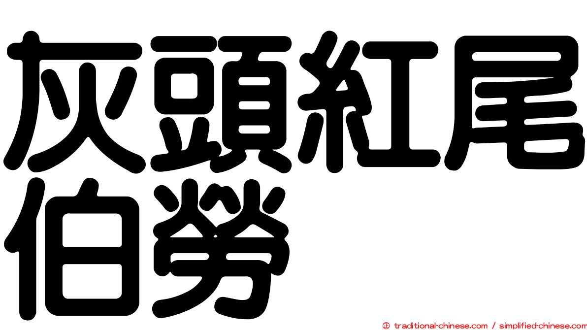 灰頭紅尾伯勞