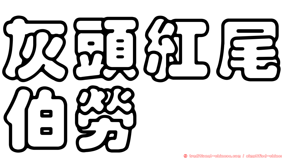 灰頭紅尾伯勞