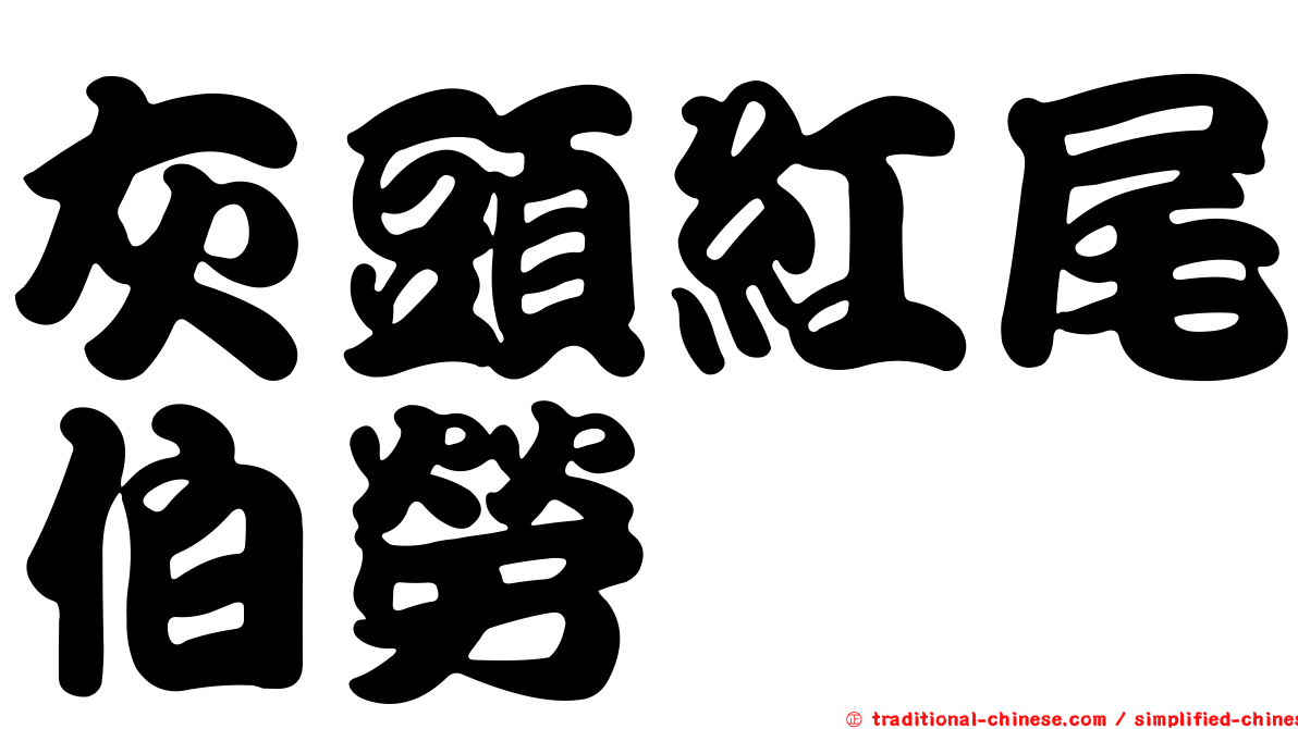 灰頭紅尾伯勞