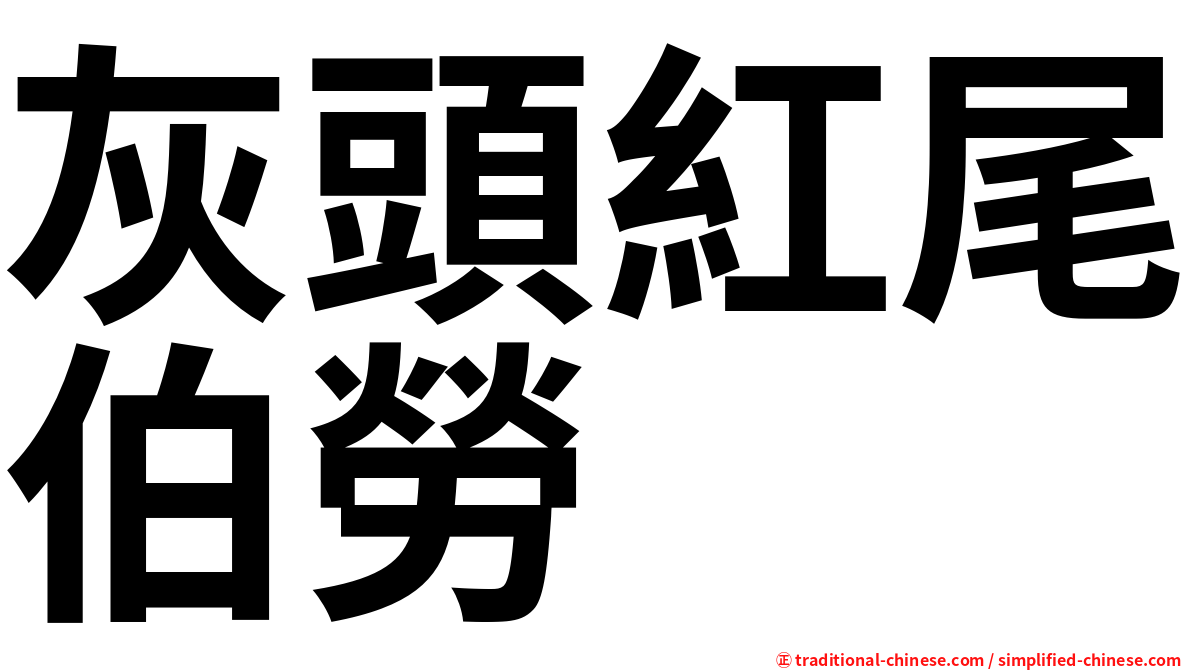 灰頭紅尾伯勞