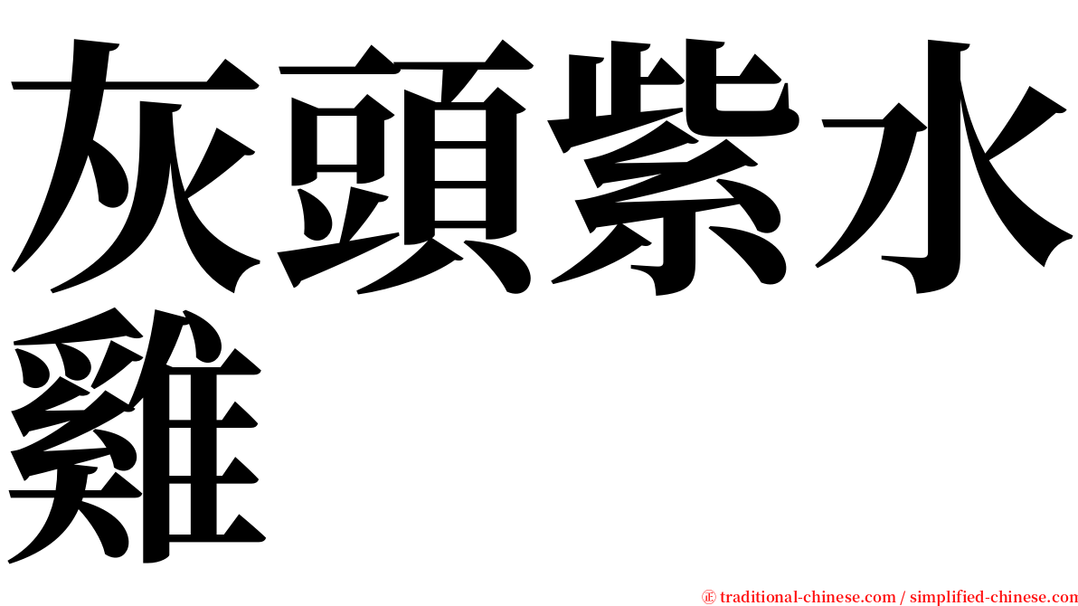 灰頭紫水雞 serif font