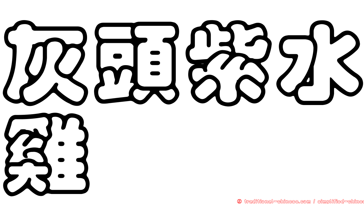 灰頭紫水雞