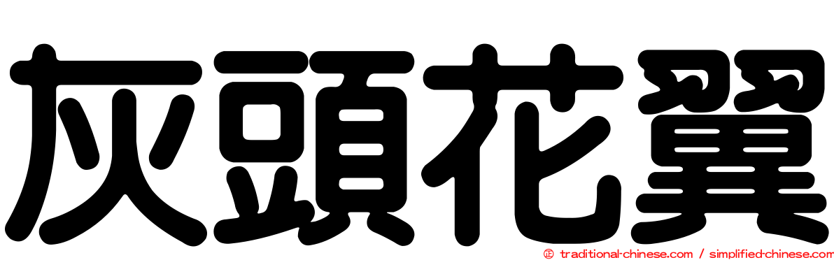 灰頭花翼