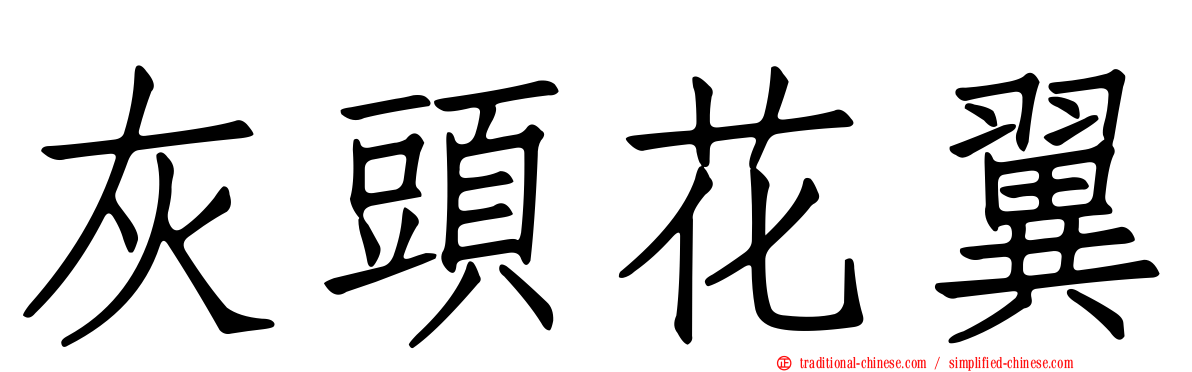灰頭花翼