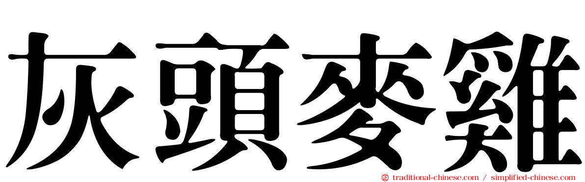 灰頭麥雞
